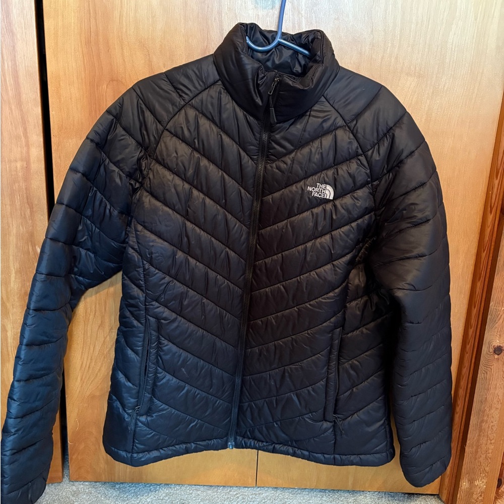 The north face coat